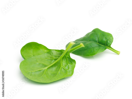 Photo: Spinach Spinach