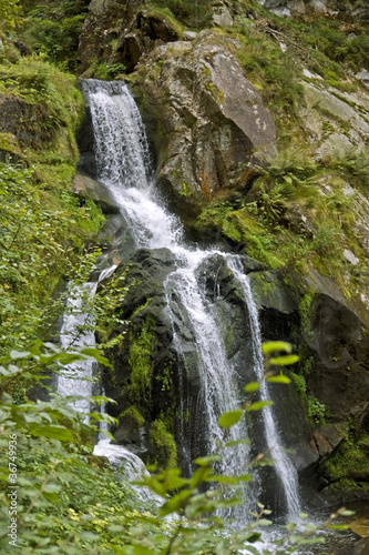 Foto: idyllic Triberg Waterfalls idyllic Triberg Waterfalls