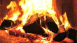 wood burn in the fireplace