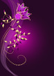 Background with elegant ornament