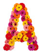 Letter A - flower alphabet isolated on white