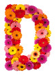 Letter D - flower alphabet isolated on white