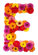 Letter E - flower alphabet isolated on white Letter E - flower alphabet isolated on white