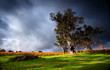 Rural Contrasts