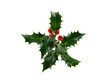 Decoration de Noel