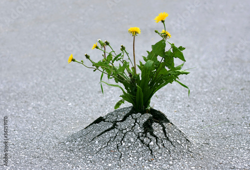 Photo: Force of Nature! Force of Nature!