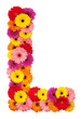 Letter L - flower alphabet isolated on white