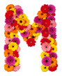 Letter M - flower alphabet isolated on white Letter M - flower alphabet isolated on white