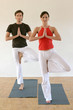 Yoga- Vrksasana