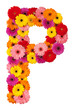 Letter P - flower alphabet isolated on white