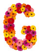 Letter G - flower alphabet isolated on white