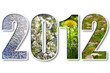 Illustration: 2012 new year 2012 new year