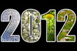 Illustration: 2012 new year 2012 new year