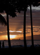 sunset with palm and big cargo boat