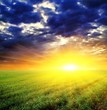 dramatic sunset among a green fields dramatic sunset among a green fields