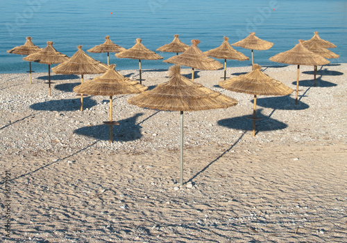 beach umbrellas ordered in rows