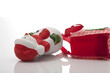 Santa Claus with a bag