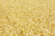 wheat