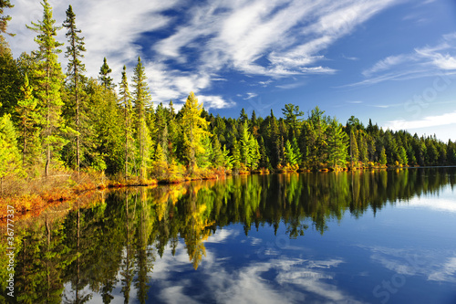Photo: Forest reflecting in lake Forest reflecting in lake