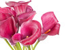 beautiful flowers beautiful flowers