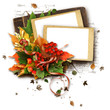 autumn frame with leaves on the white autumn frame with leaves on the white