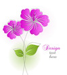 Beautiful flower background Beautiful flower background