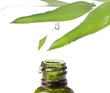 herbal cosmetics