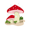 funghi