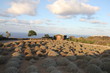 Pantelleria