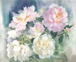 Peonies