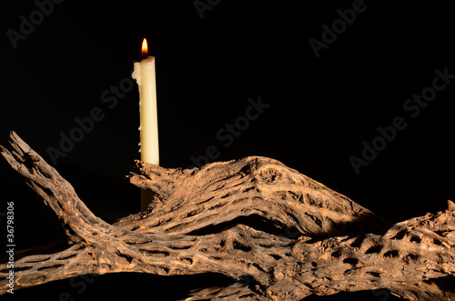 Photo: Candle and Cholla Candle and Cholla