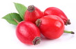 Group of rose hips.