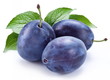 Group of plums with leaf.