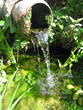 Acqua fresca