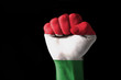 Fist painted in colors of hungary flag Fist painted in colors of hungary flag