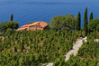 Weingut in der Toskana, Insel Elba