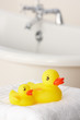 Rubber ducks in bathroom