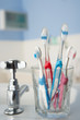 Toothbrushes in bathroom