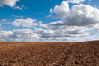 early spring field blue sky and white clouds landscape