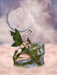 fairytale