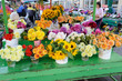 Colorful autumn flowers and bouquets on the market