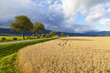 Rye Field in Neuchatel, Switzerland