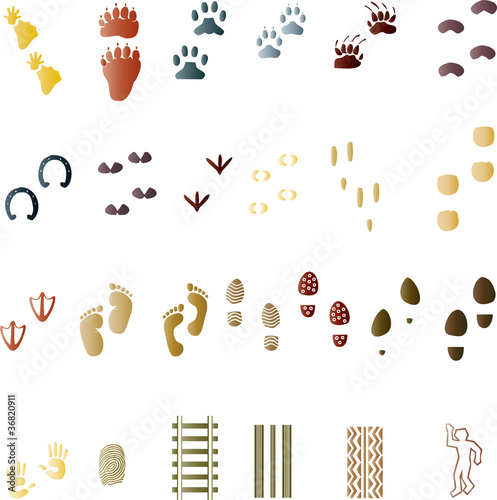 Vector: Abdruck, Spur, Pfote, Tatze Abdruck, Spur, Pfote, Tatze