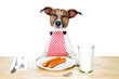 dog at table