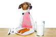 dog at table