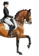 Foto: Equestrian sport - dressage Equestrian sport - dressage