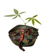 Stahlhelm mit Überzug und Pflanze