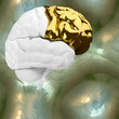 Mind of a genius