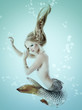 mermaid beautiful magic underwater mythology being original phot mermaid beautiful magic underwater mythology being original phot