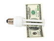 Energy saving light bulb on white background
